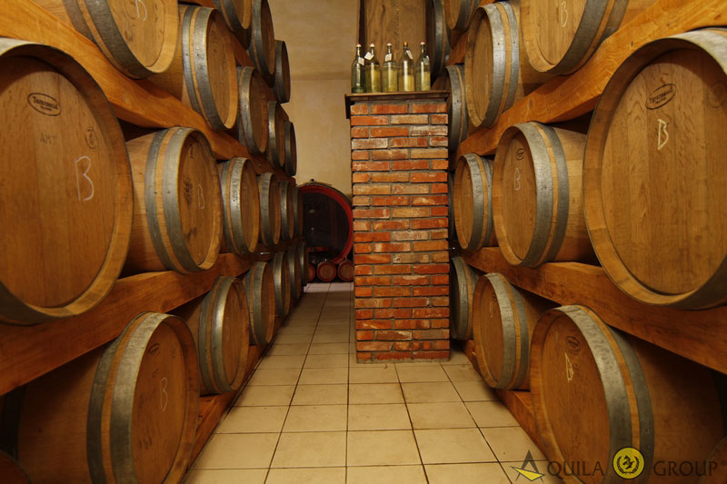 HISTORIA JONË - Aquila Group